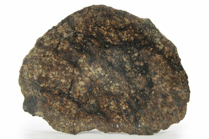 Chondrite Meteorite ( g) Slice with Shock Veins - Morocco #227978